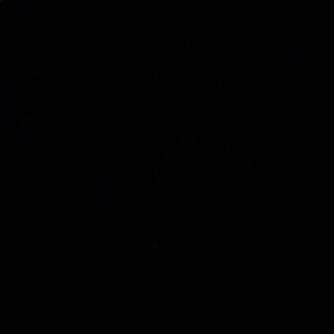 Meet your Posher, Maurion